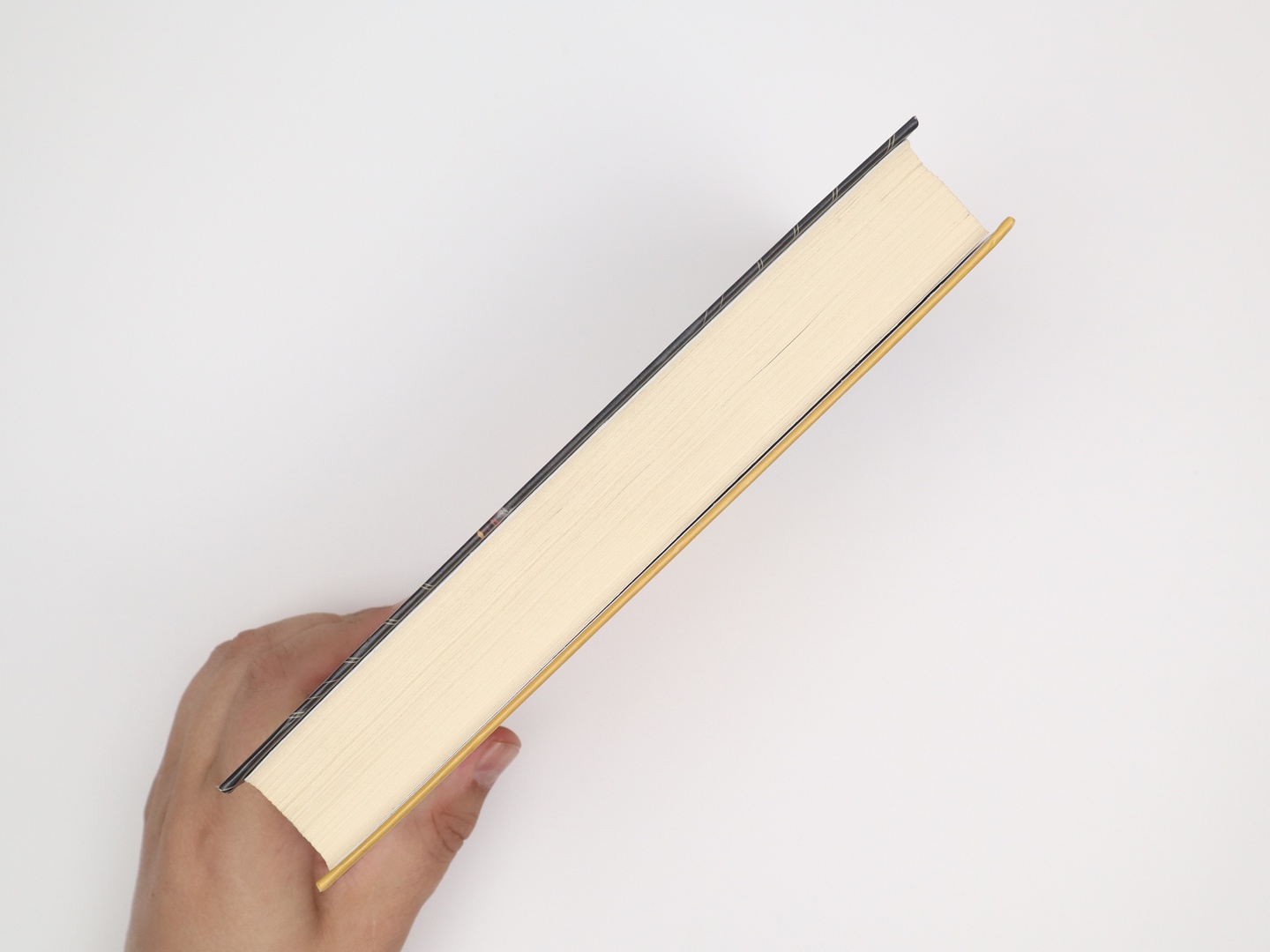 Предисловие