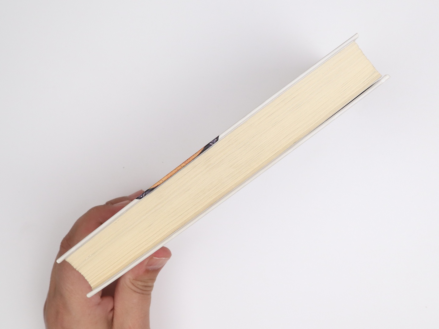 Предисловие