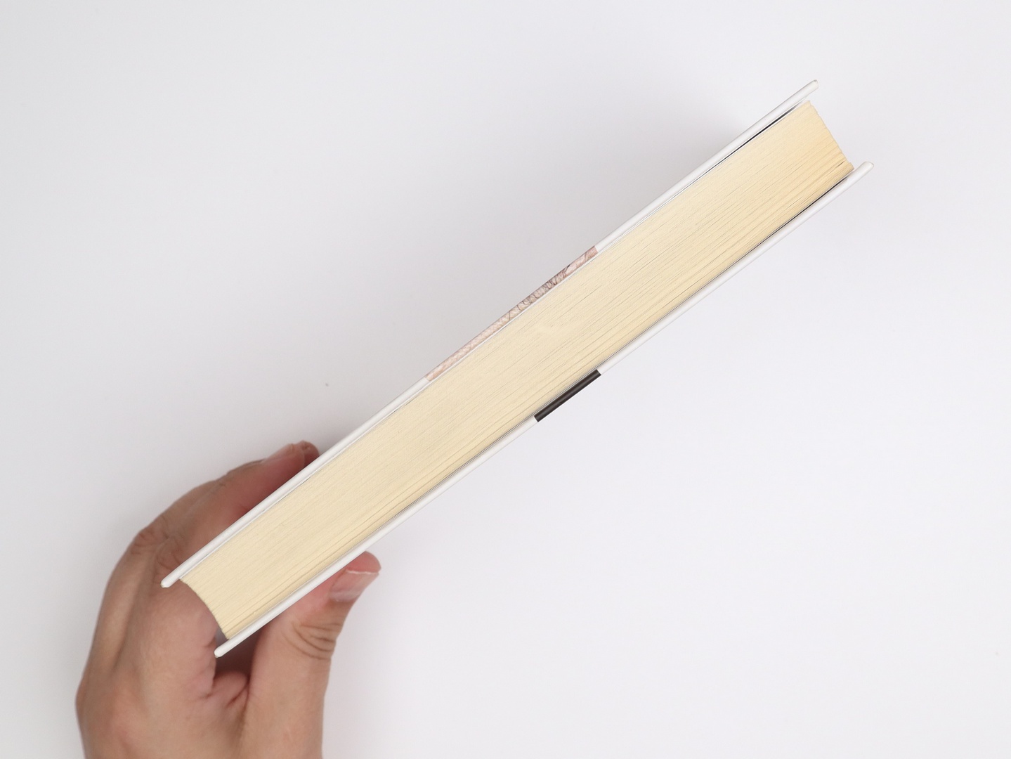 Предисловие