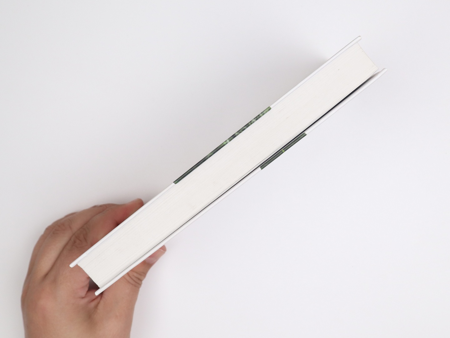 Предисловие