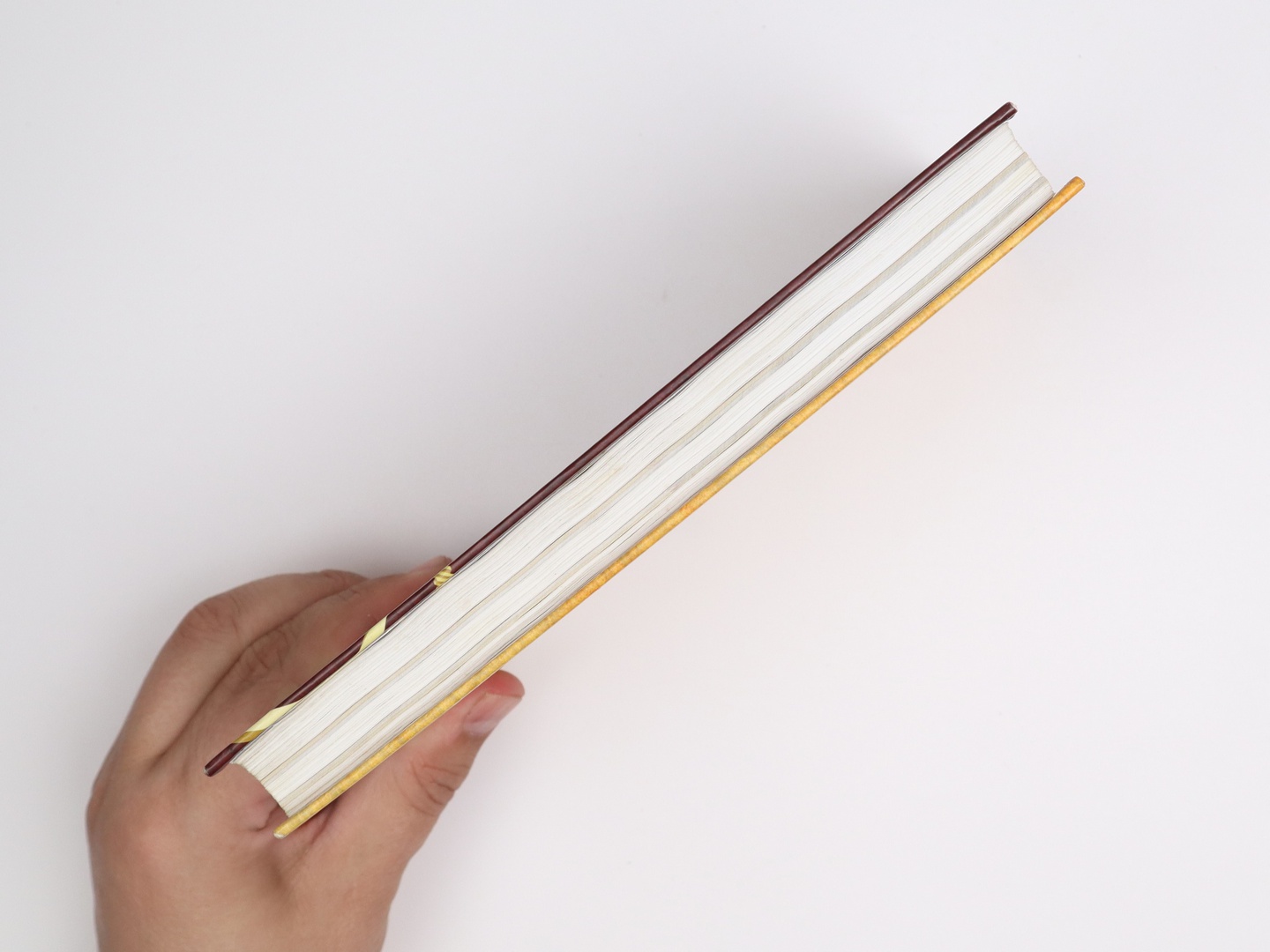 Предисловие