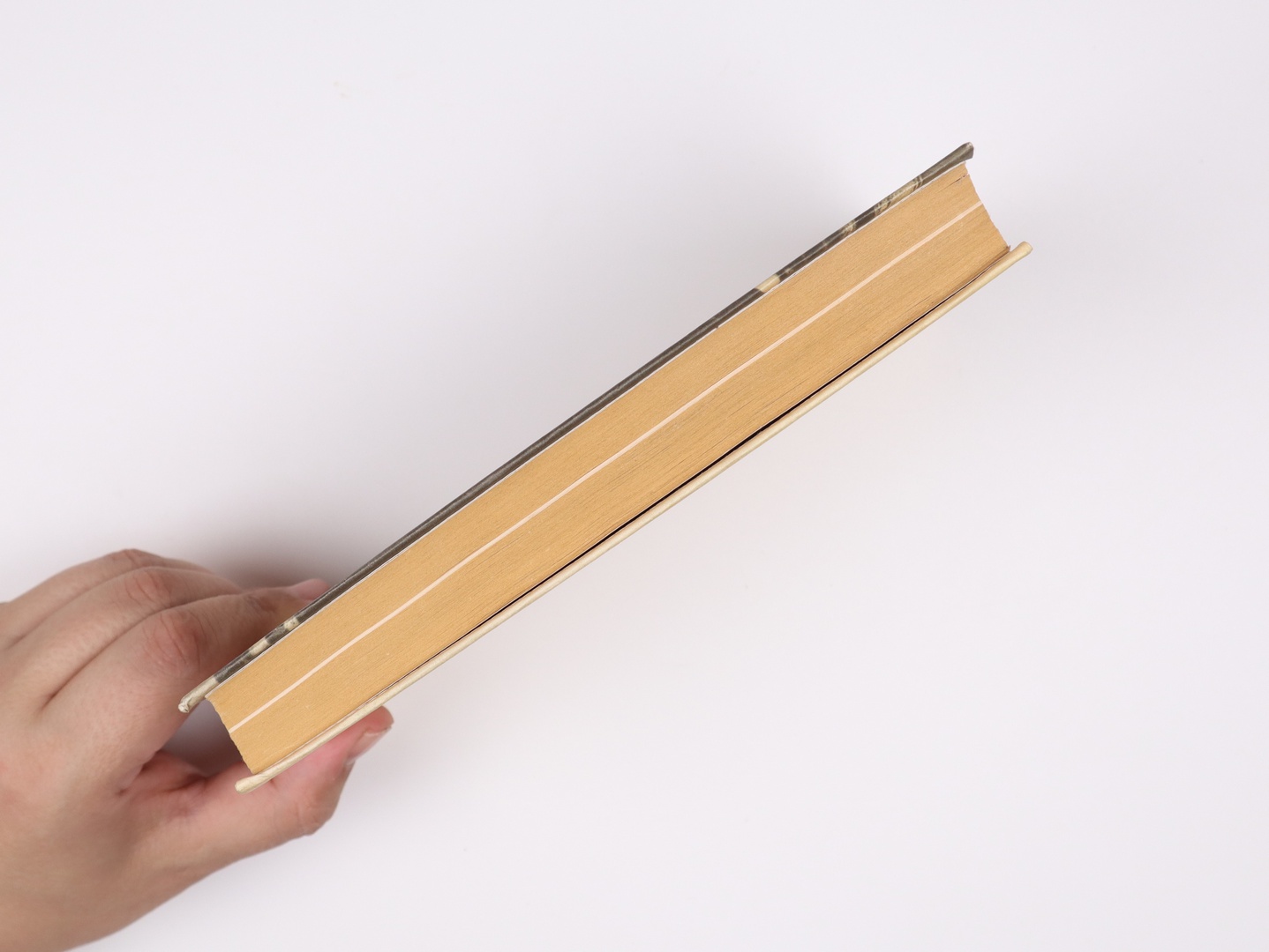 Предисловие