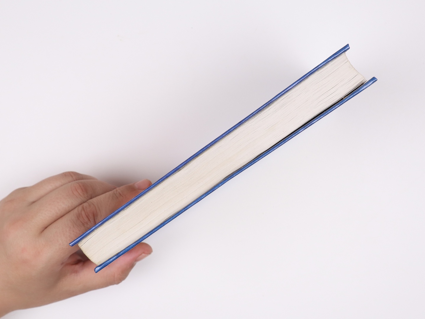 Предисловие