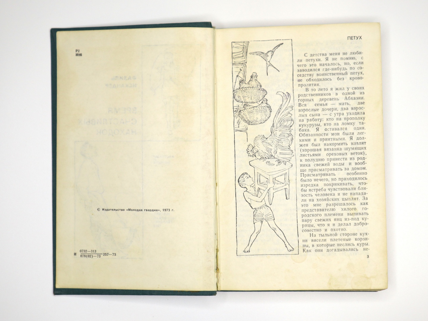 Иллюстрация