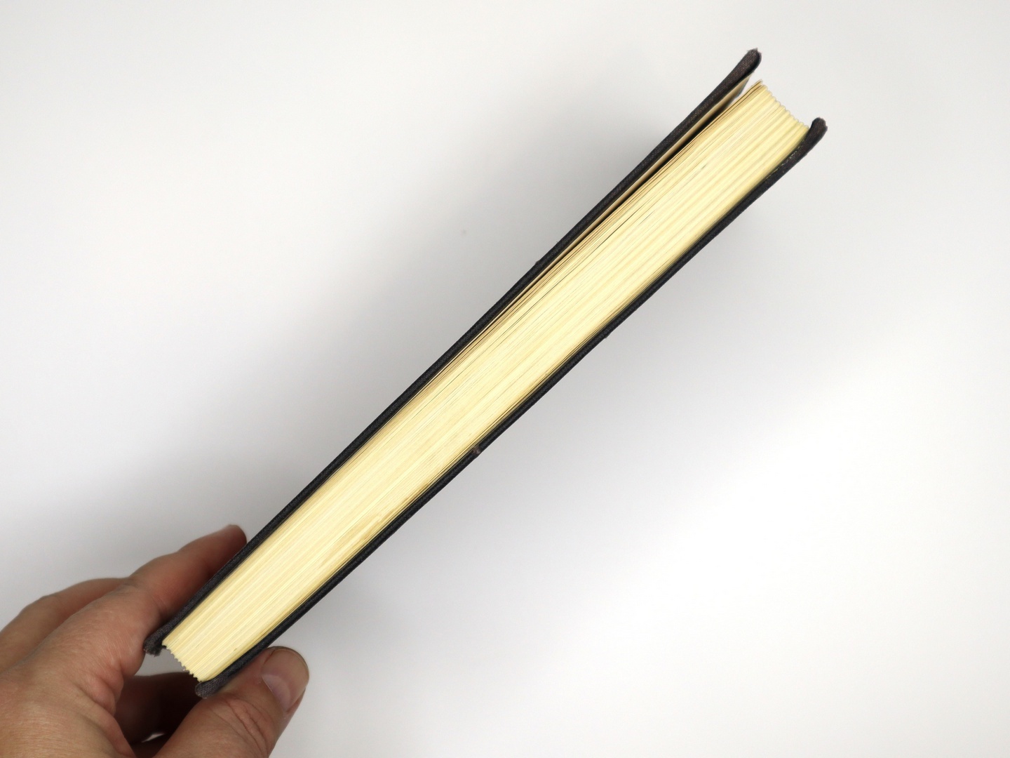 Предисловие