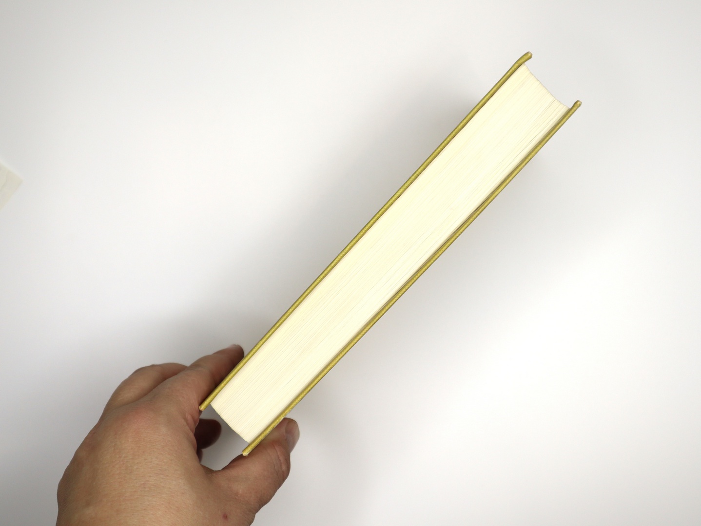 Предисловие