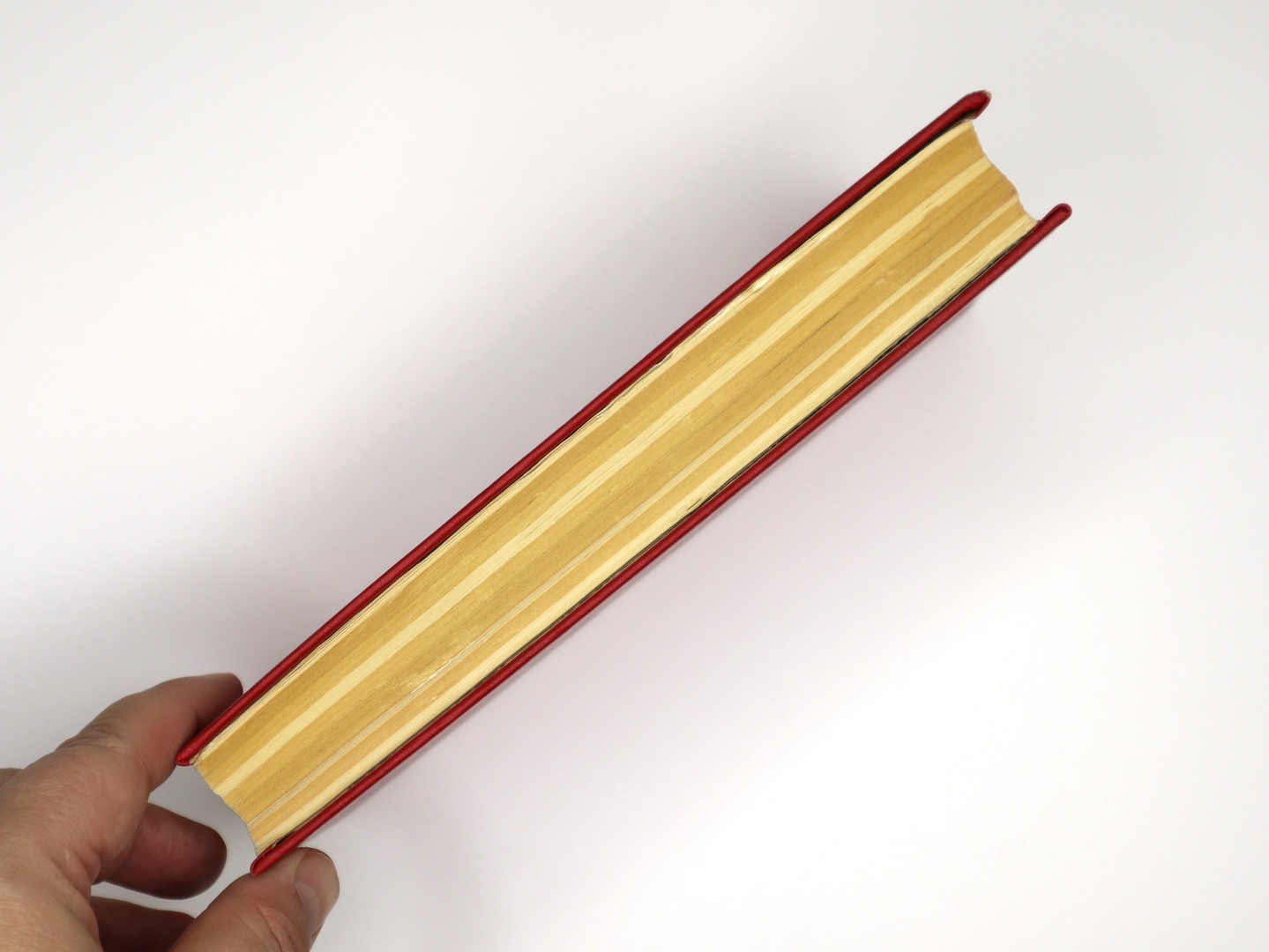 Предисловие