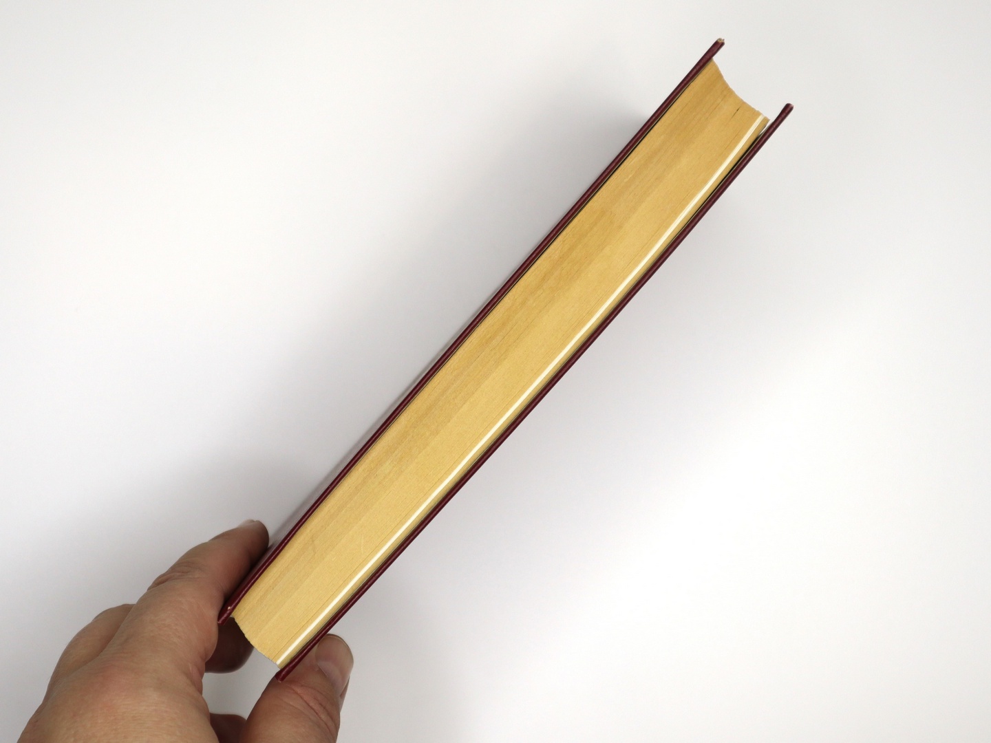 Предисловие