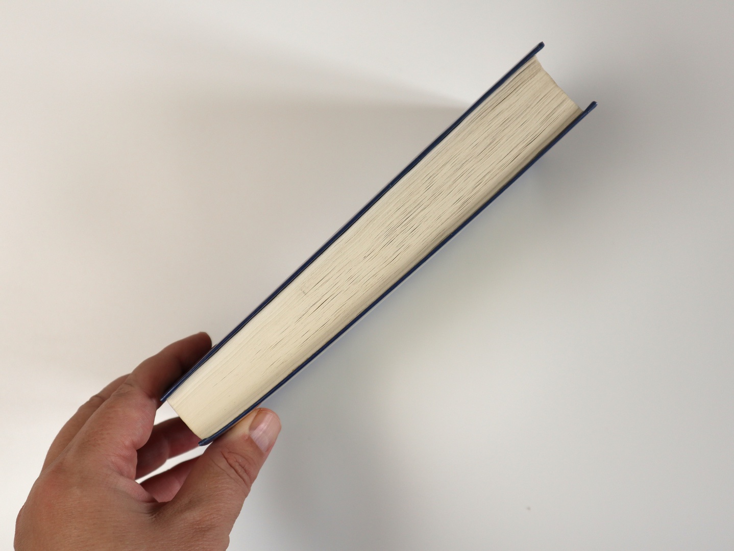 Предисловие