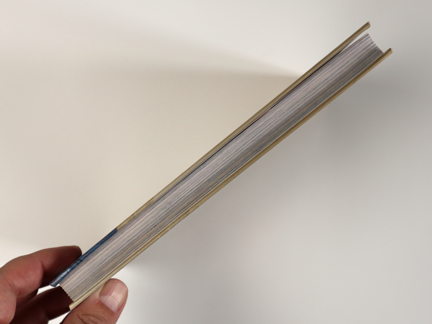 Предисловие