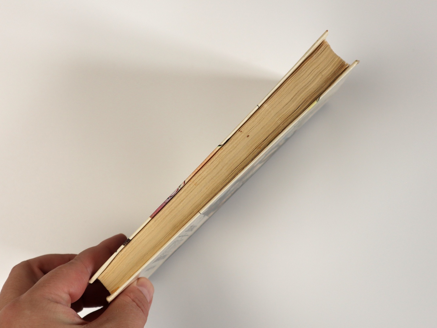 Предисловие