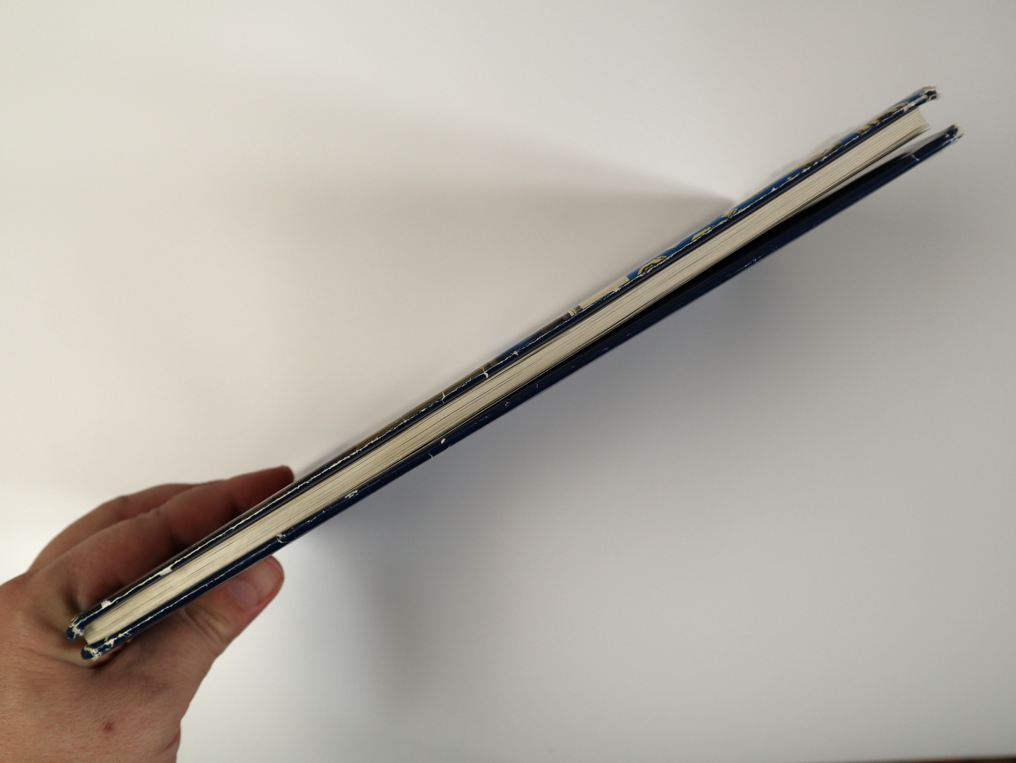 Предисловие