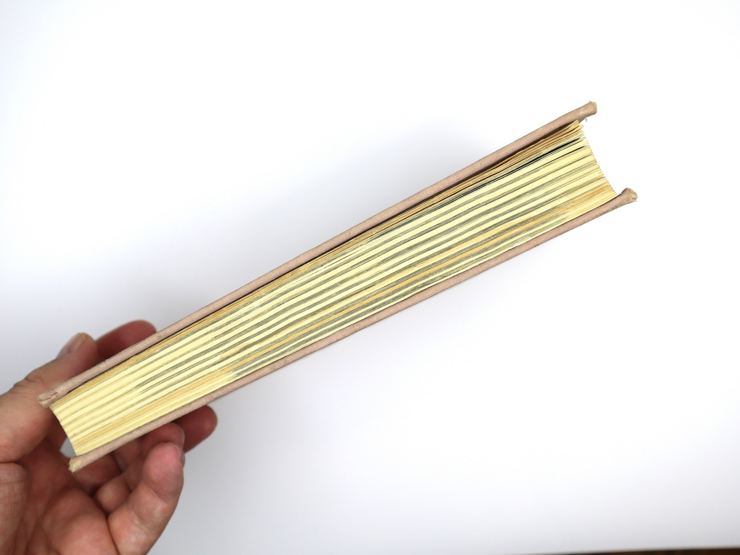 Предисловие