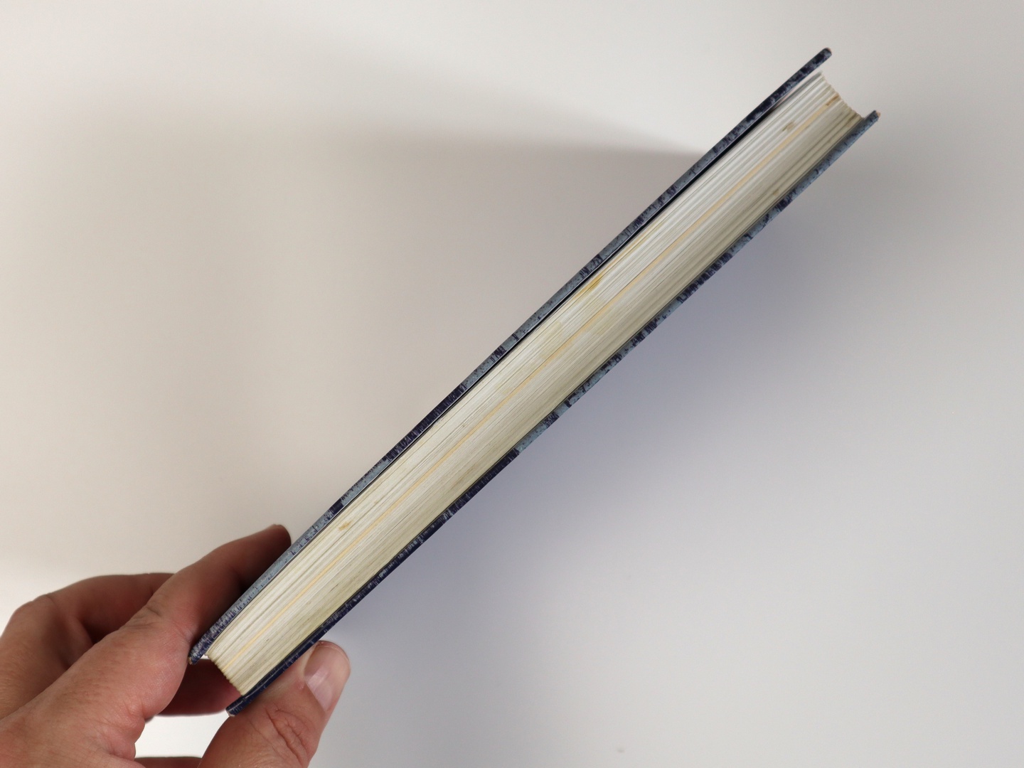 Предисловие