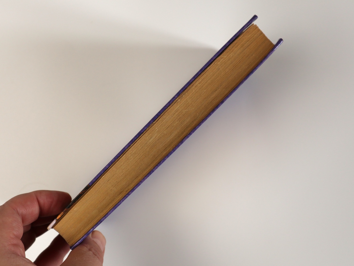 Предисловие