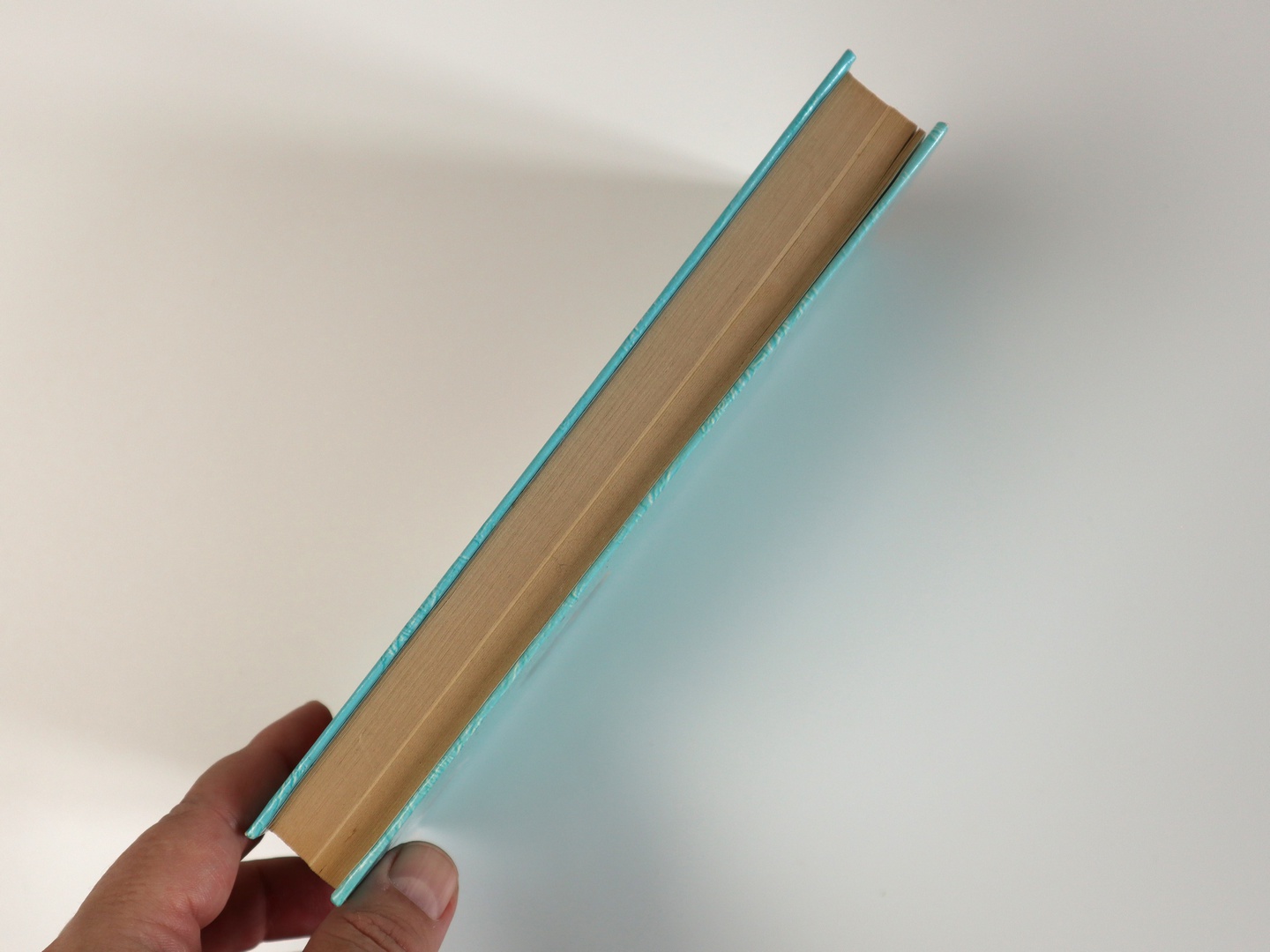 Предисловие