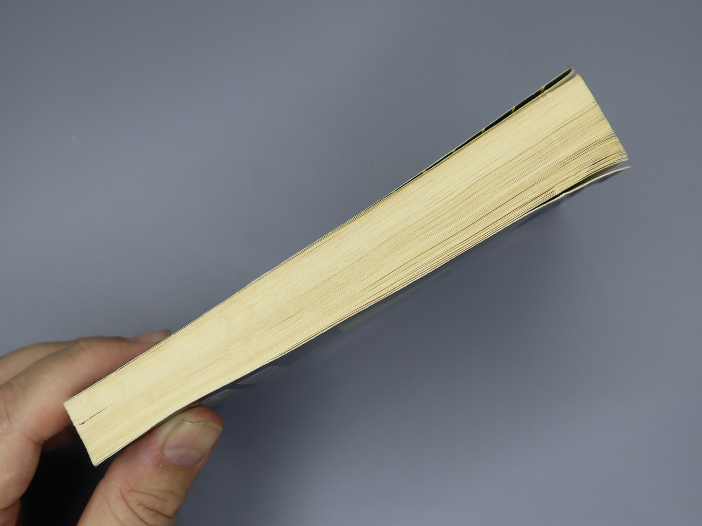 Предисловие