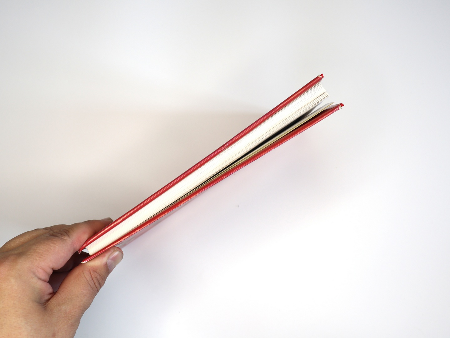 Предисловие