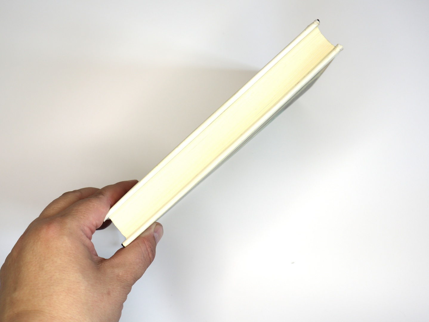 Предисловие