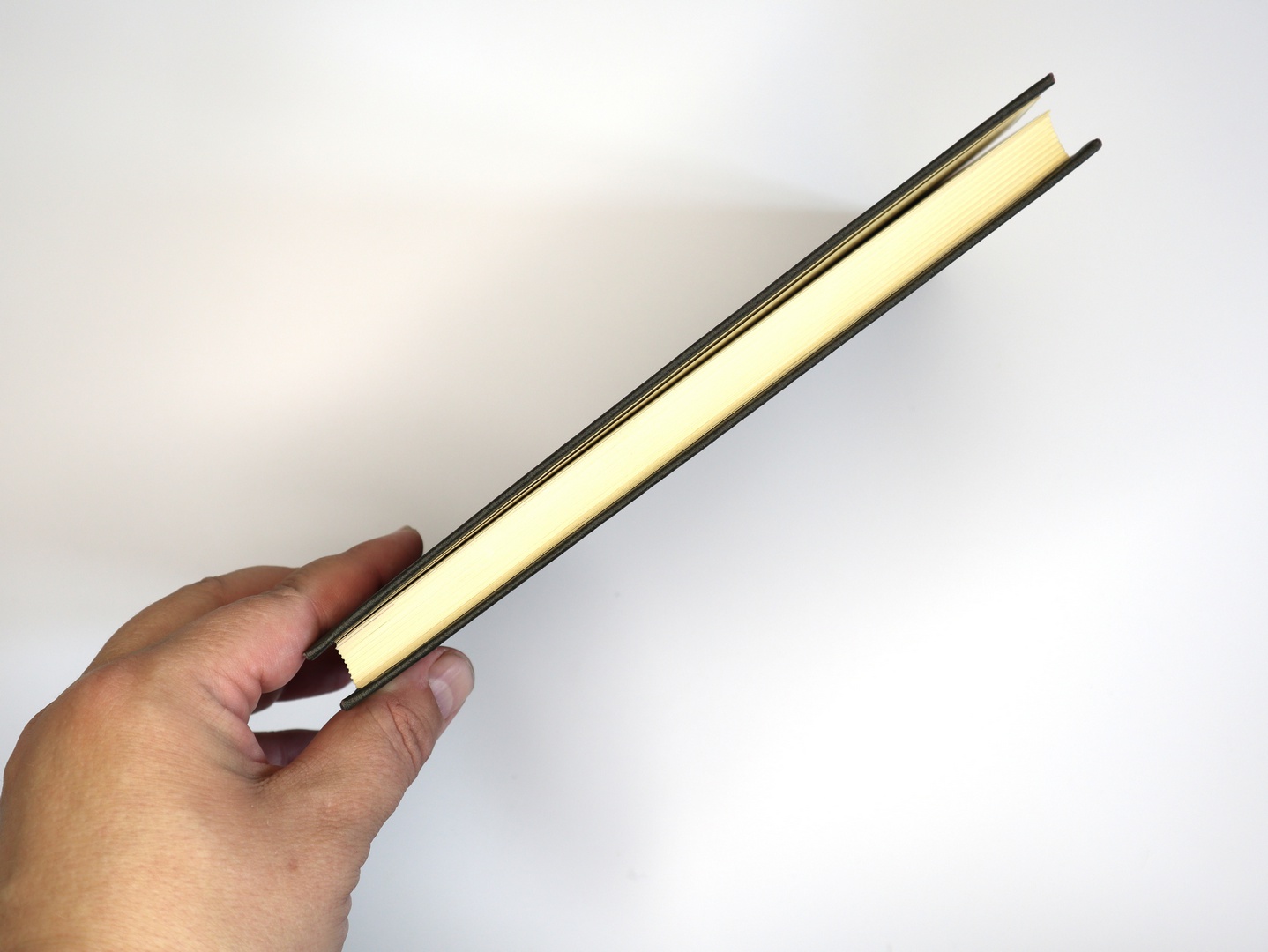 Предисловие