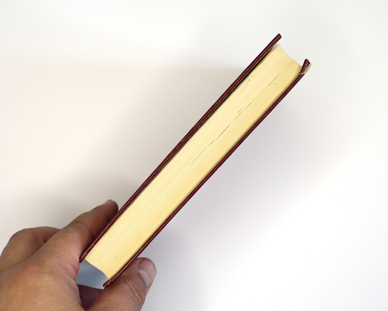 Предисловие