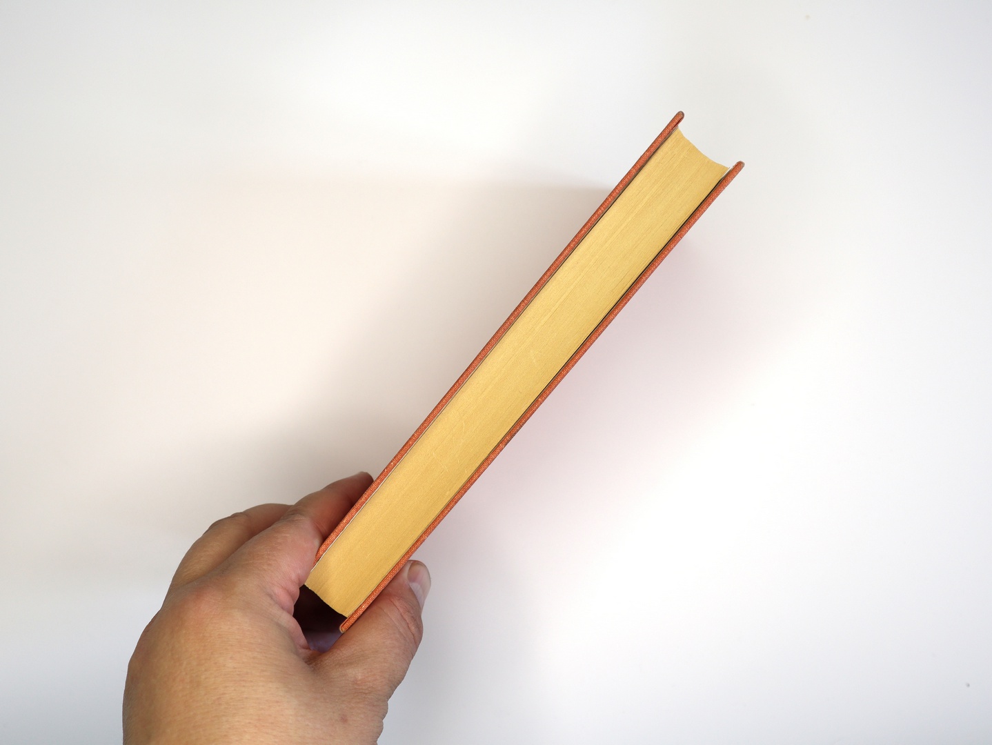 Предисловие