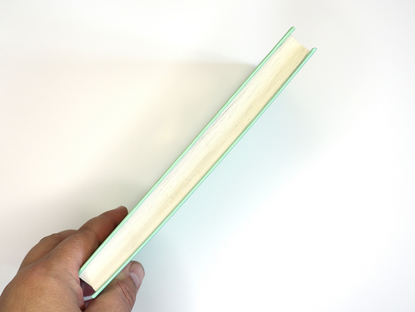 Предисловие