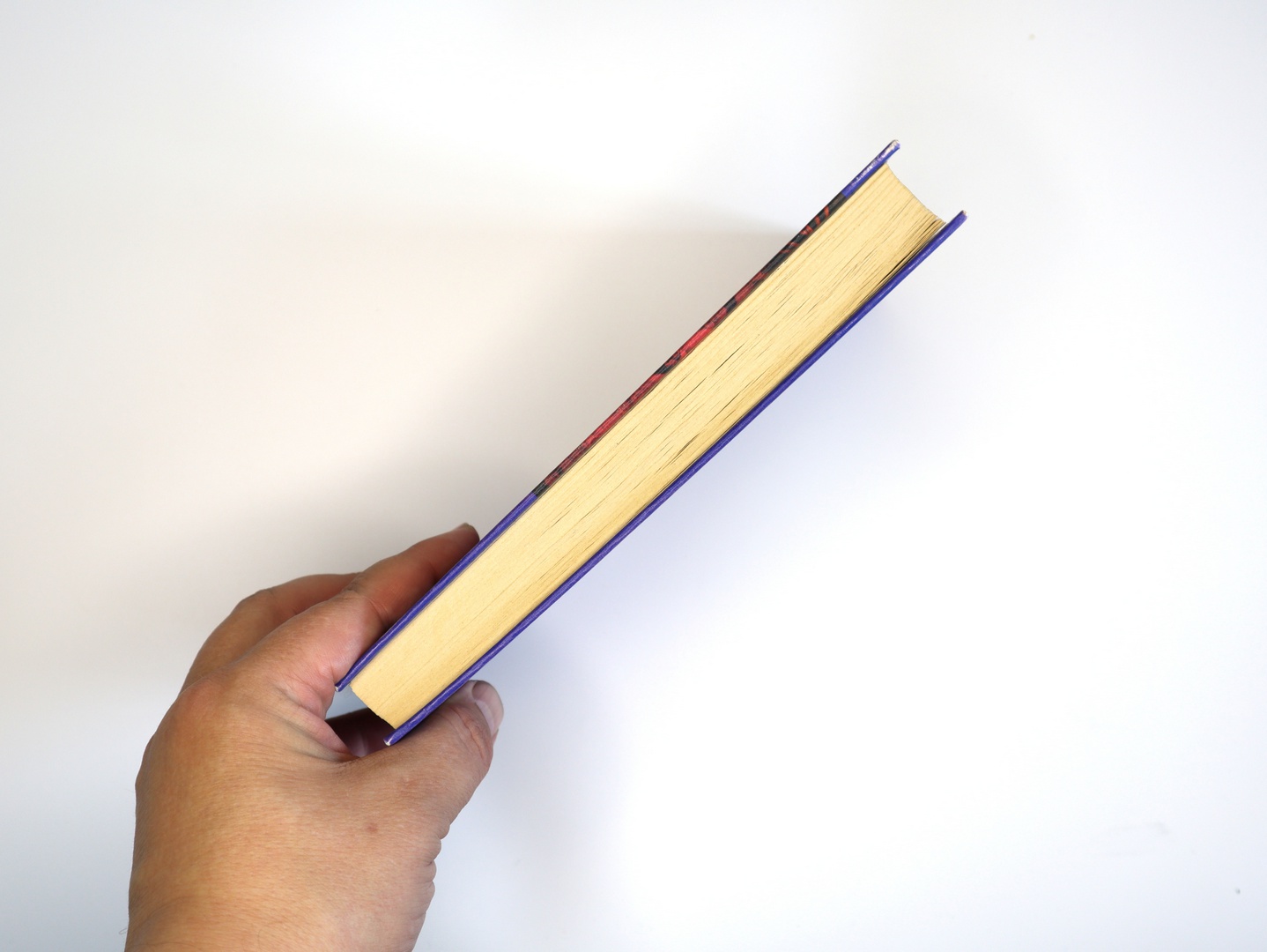 Предисловие