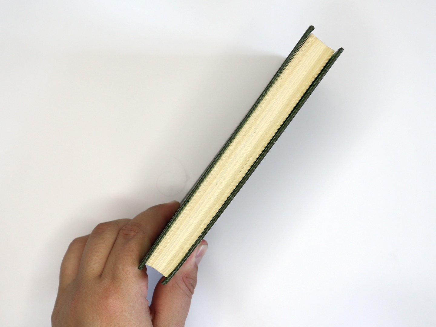 Предисловие