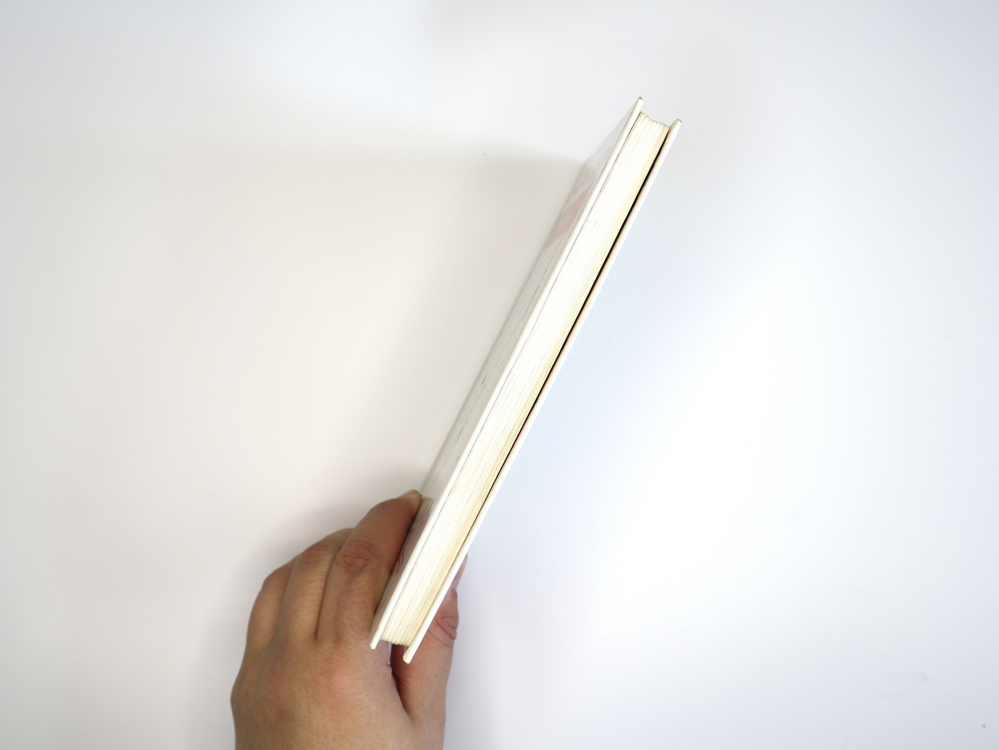 Предисловие