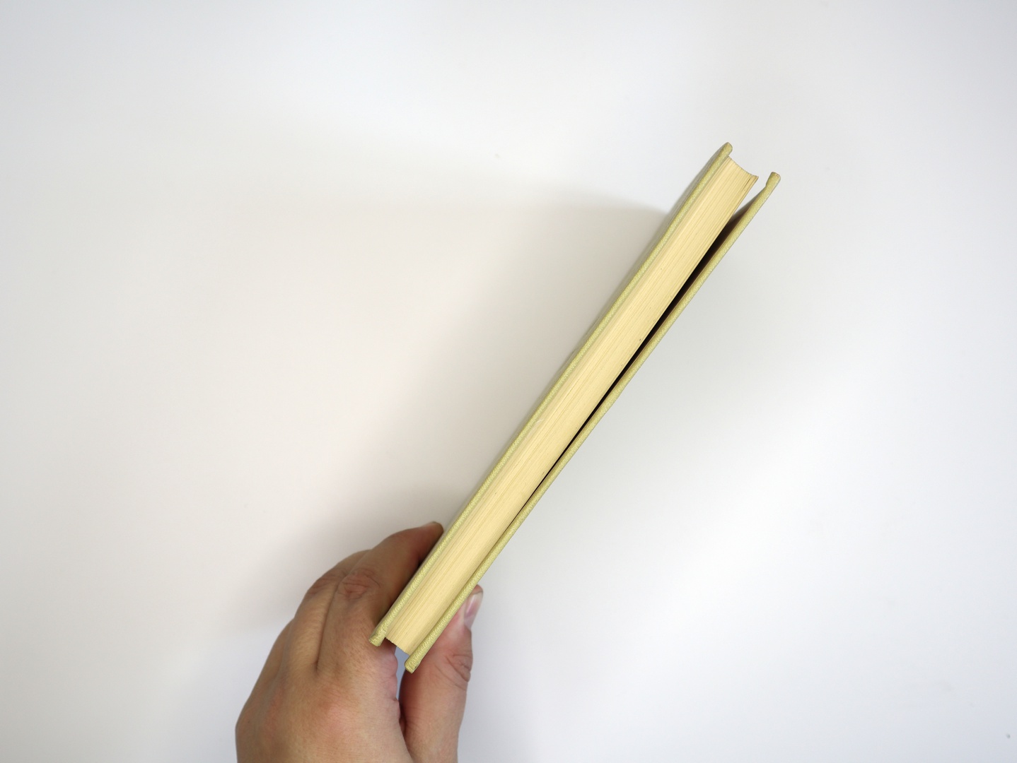 Предисловие