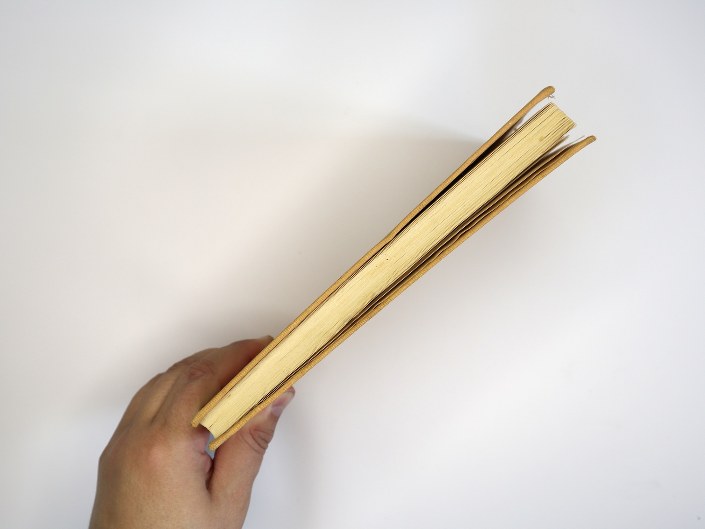 Предисловие