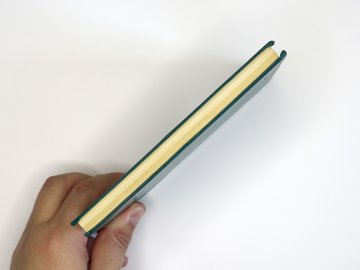 Предисловие