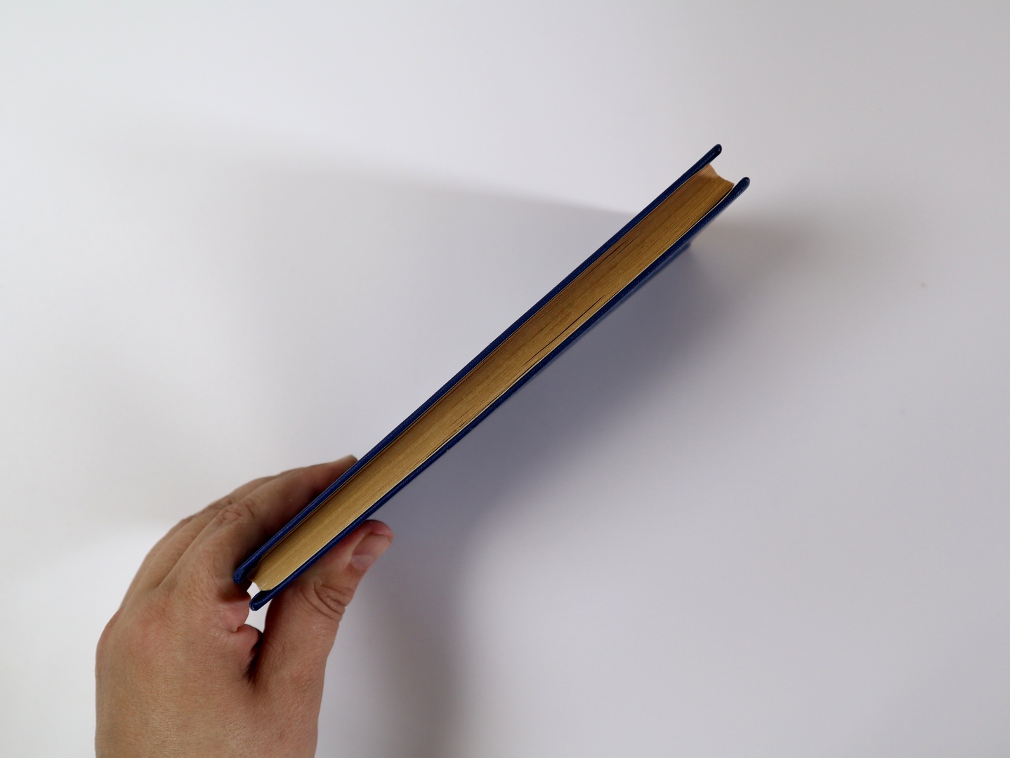 Предисловие