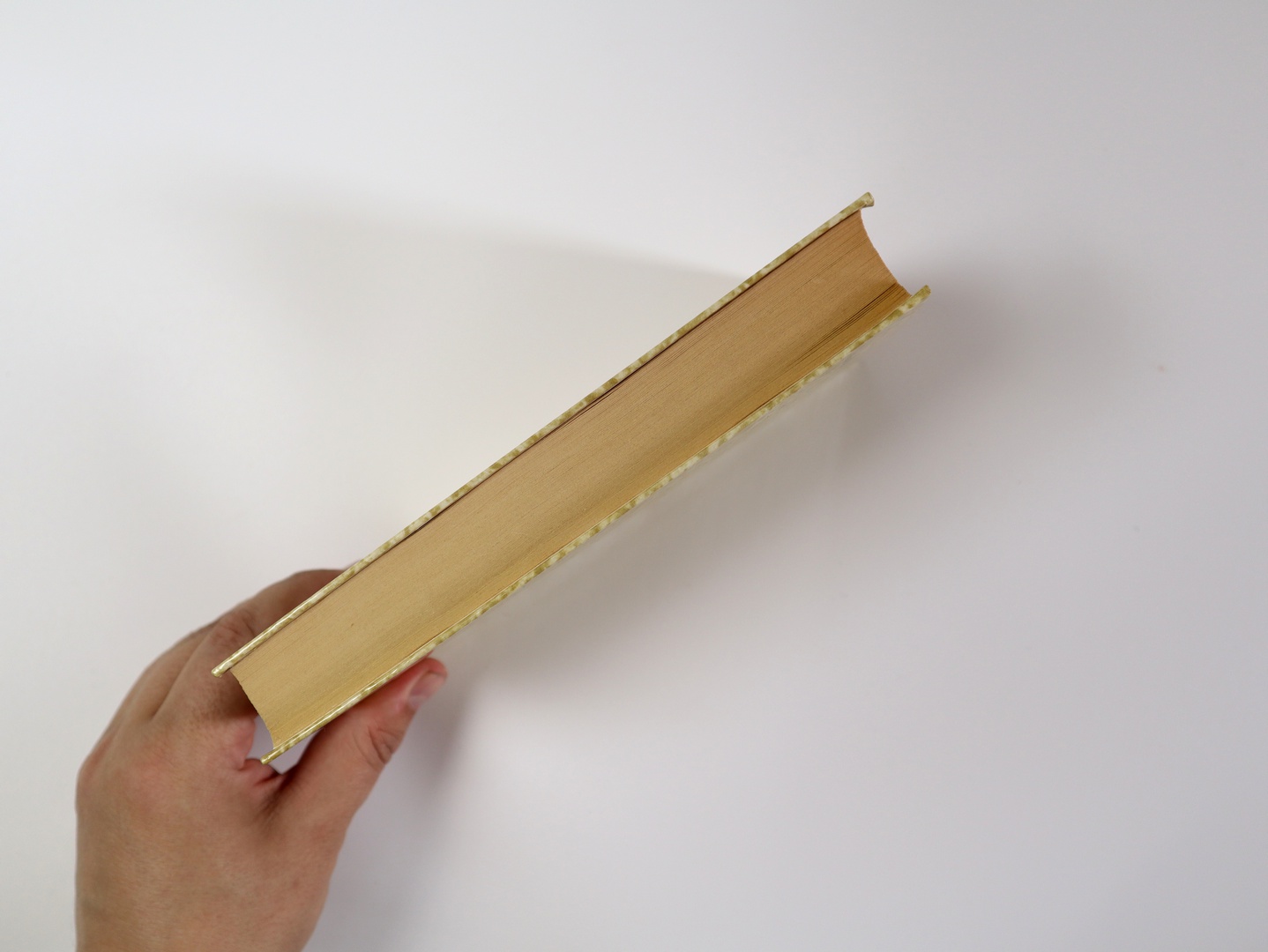 Предисловие