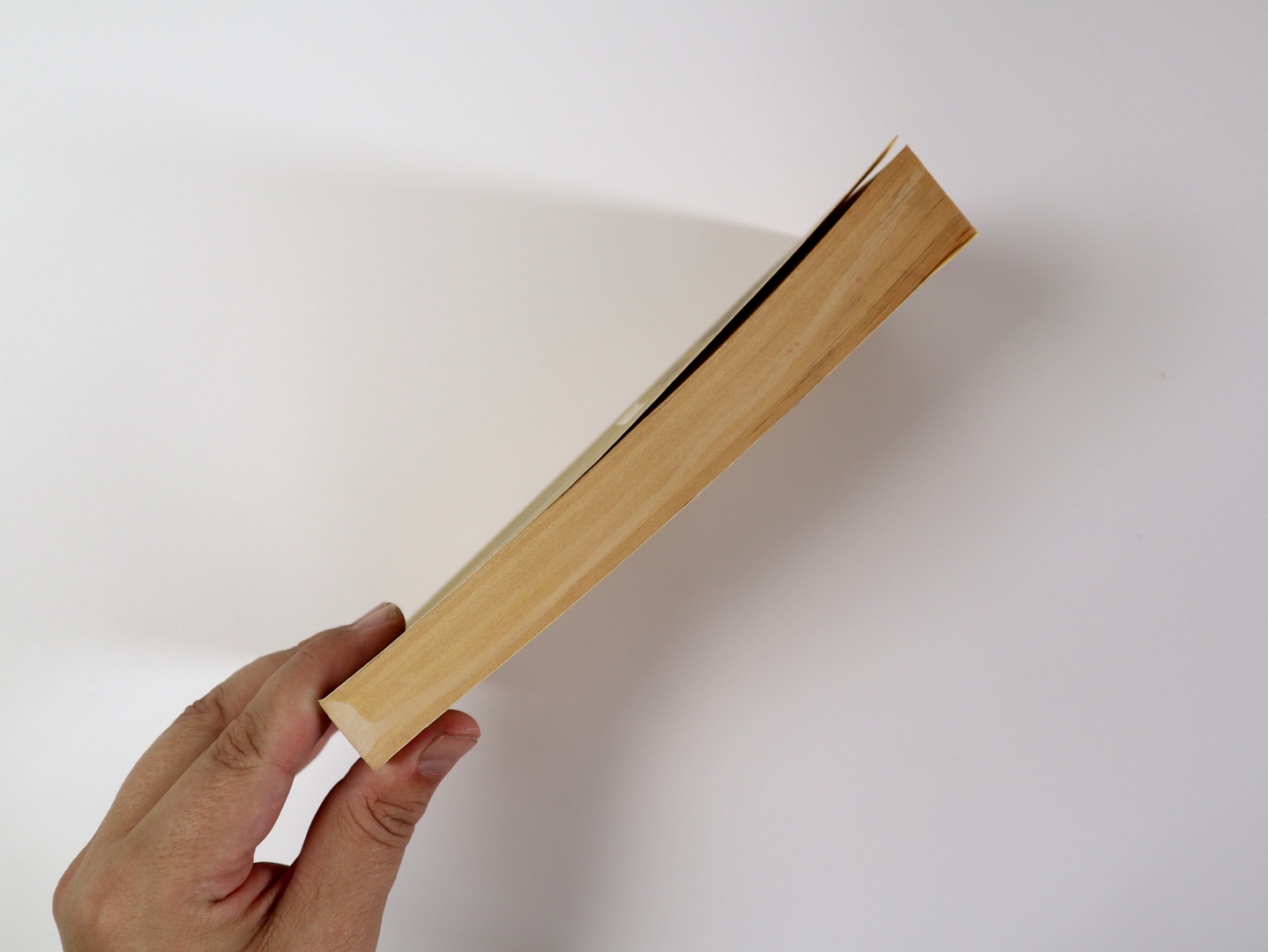 Предисловие