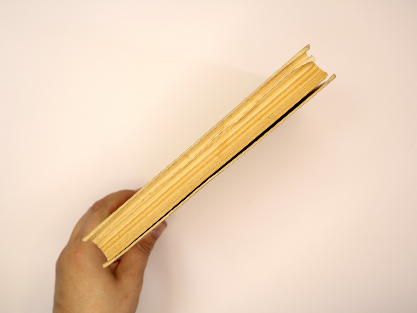 Предисловие