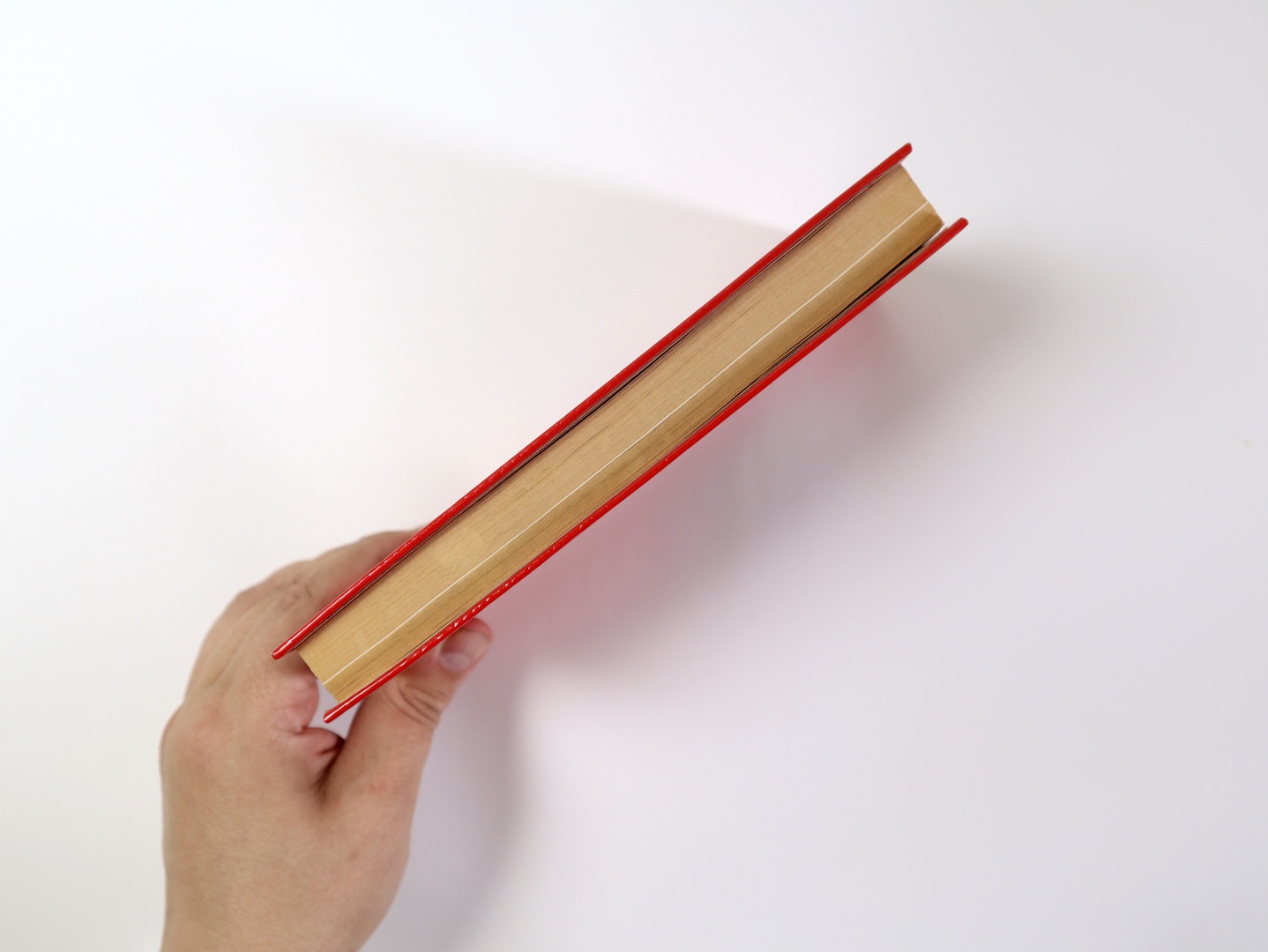 Предисловие