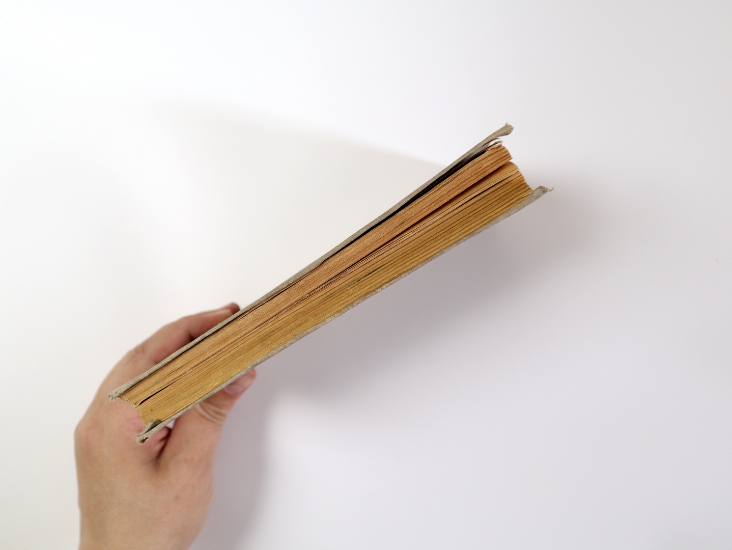 Предисловие