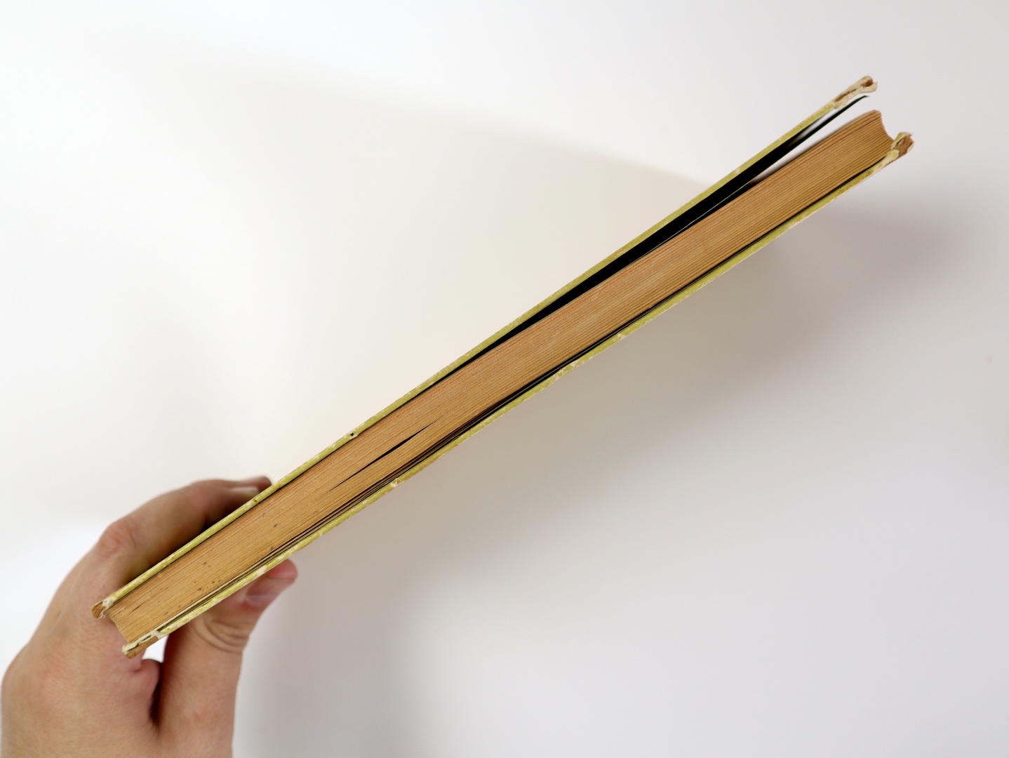 Предисловие