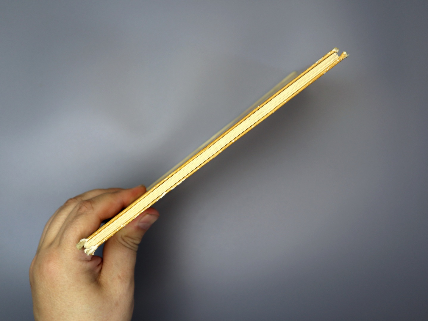 Предисловие