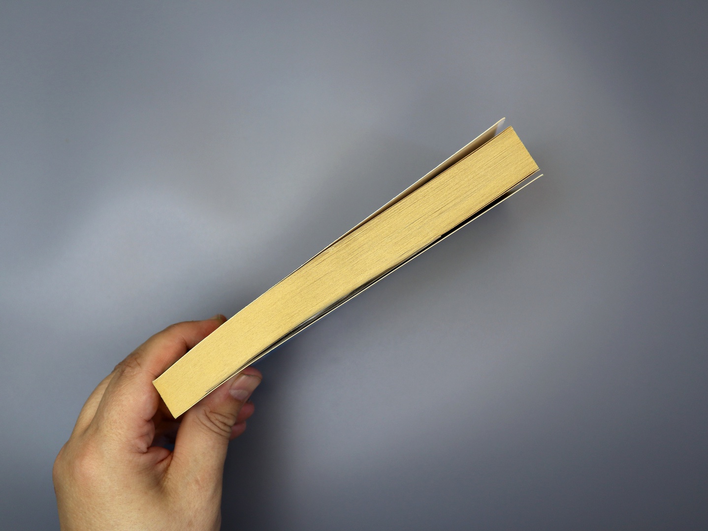 Предисловие