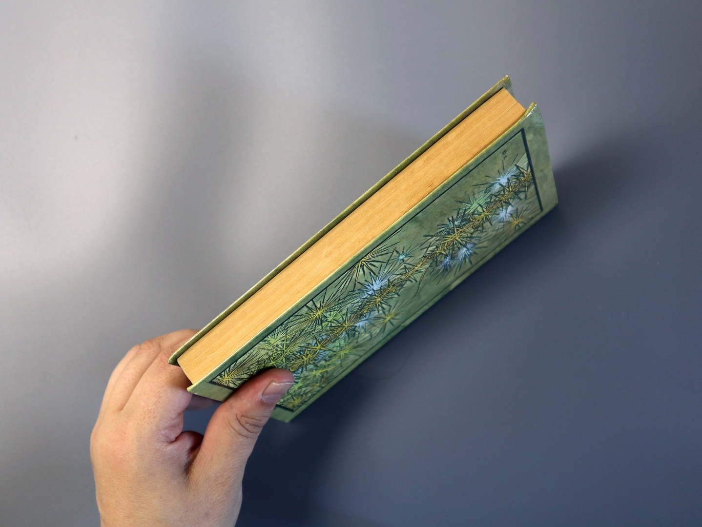 Предисловие