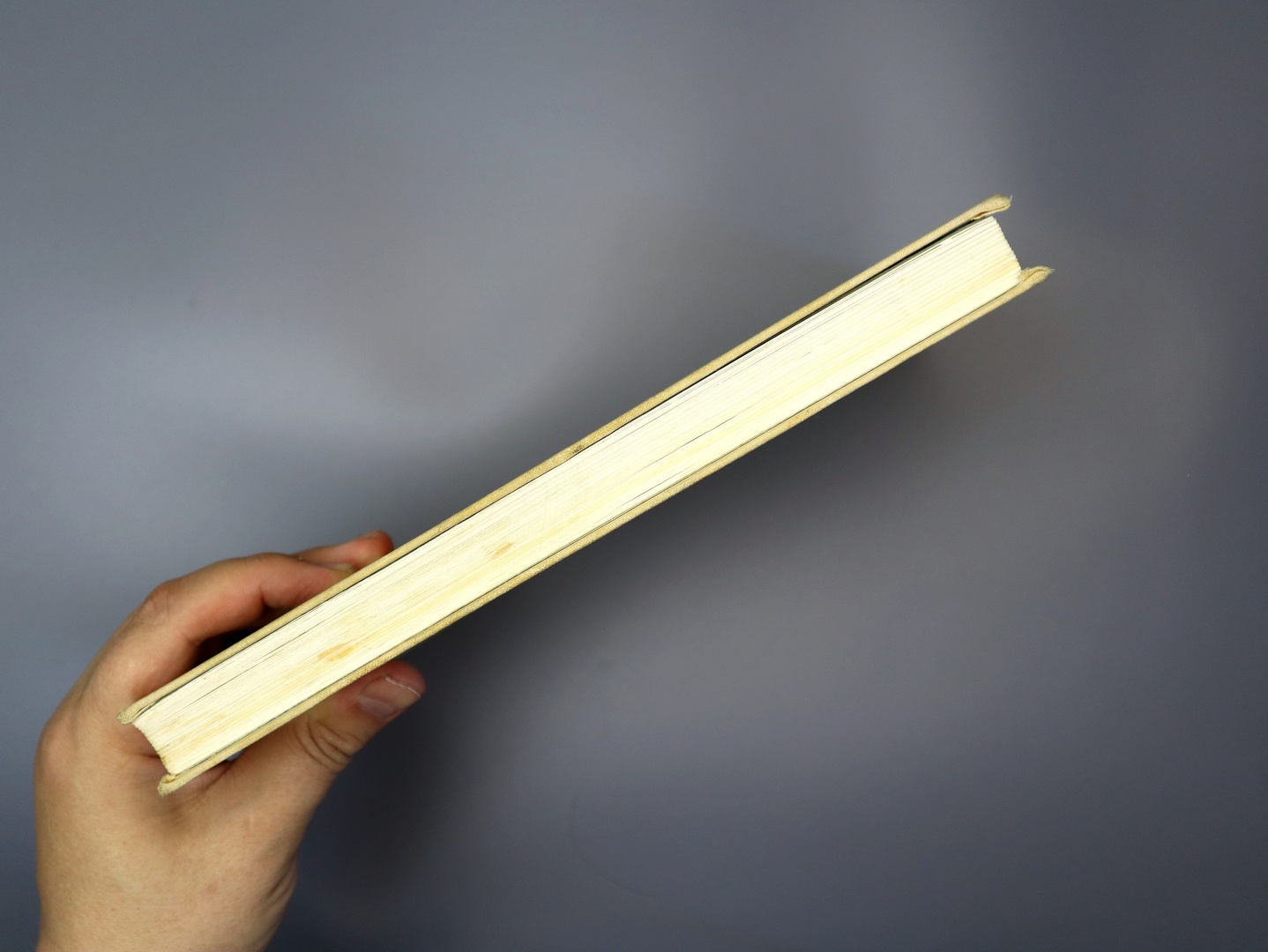 Предисловие