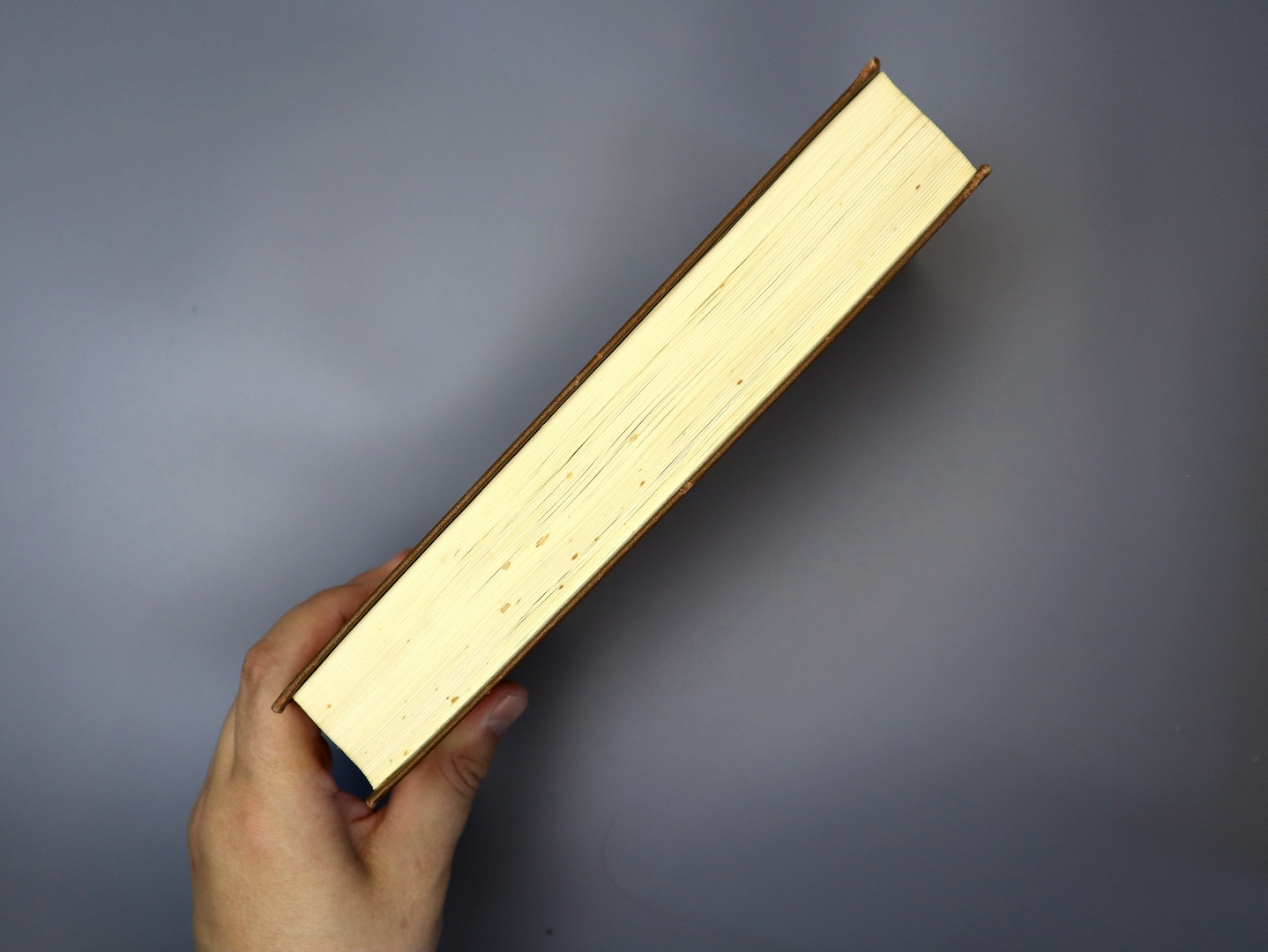 Предисловие