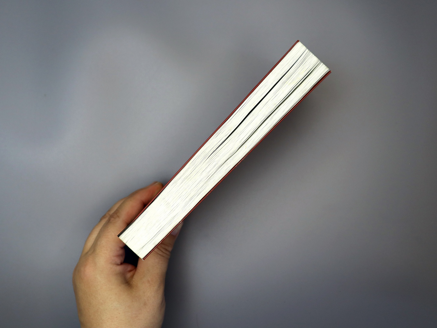 Предисловие