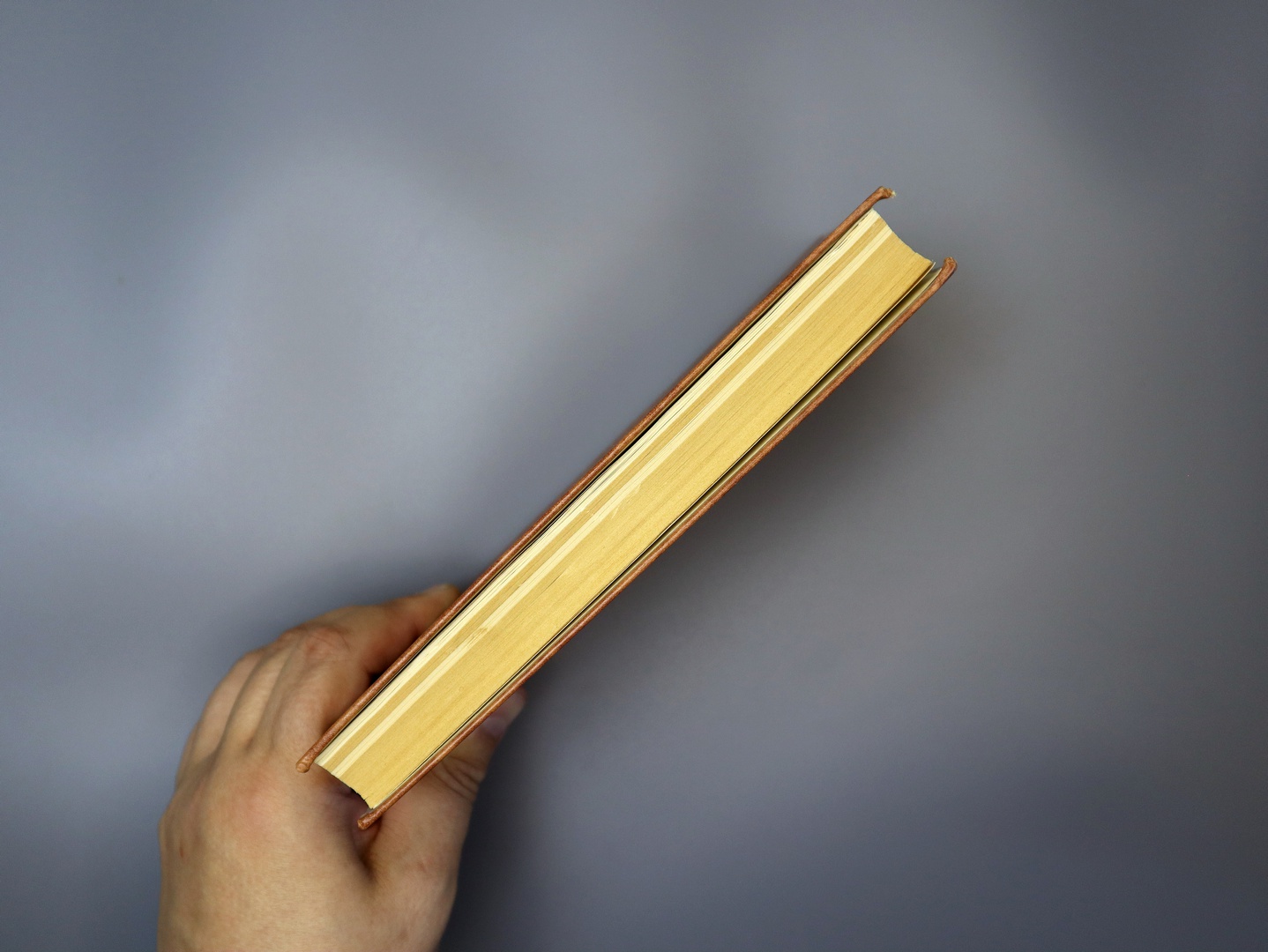 Предисловие