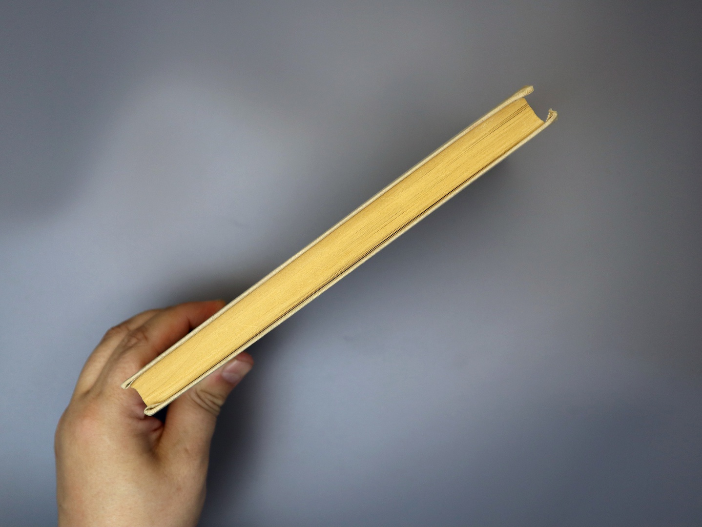 Предисловие