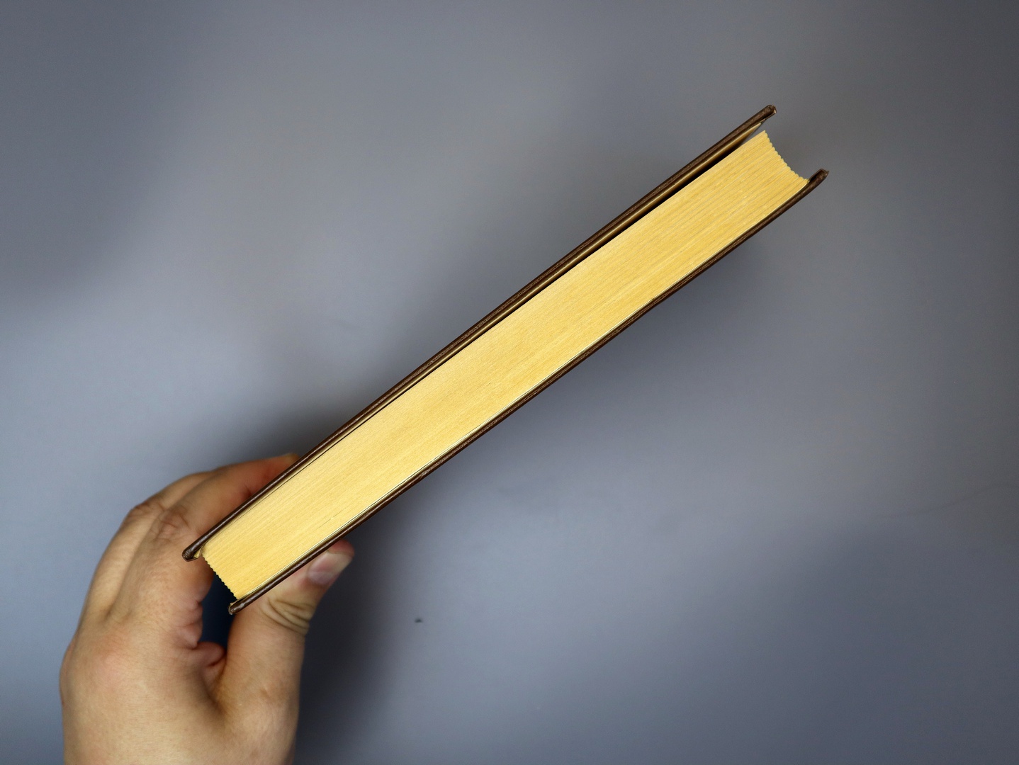 Предисловие