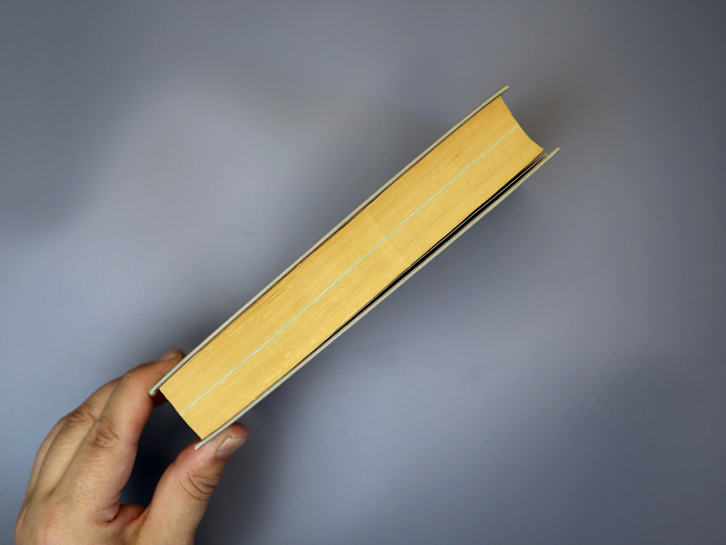 Предисловие